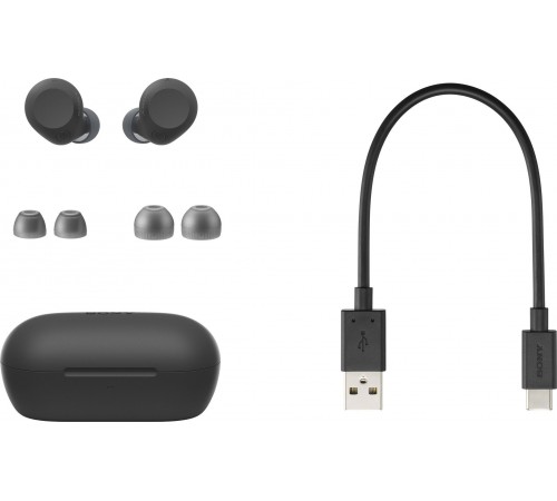 Bluetooth-гарнітура Sony WF-C710N Black (WFC710NB.E)