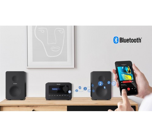 Мікросистема Sharp Micro Sound System Black (XL-B514(BK))