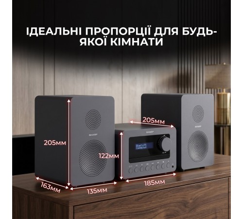 Мікросистема Sharp Micro Sound System Grey (XL-B514(GY))