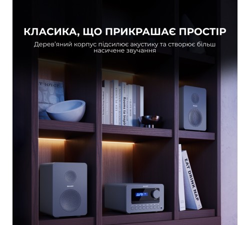 Мікросистема Sharp Micro Sound System Grey (XL-B514(GY))