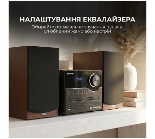 Мікросистема Sharp Micro Sound System Brown (XL-B517D(BR))