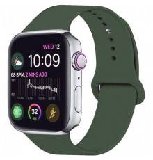 Силіконовий ремінець для Apple Watch 42(ser.1-3)/44/45/46/49mm Зелений / Black Green