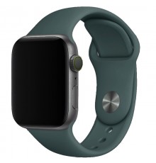Силіконовий ремінець для Apple Watch 42(ser.1-3)/44/45/46/49mm Зелений / Dark green