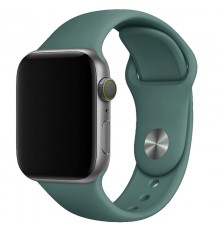 Силіконовий ремінець для Apple Watch 42(ser.1-3)/44/45/46/49mm Зелений / Pine green