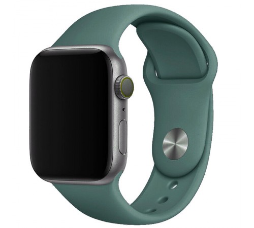 Силіконовий ремінець для Apple Watch 42(ser.1-3)/44/45/46/49mm Зелений / Pine green Силіконовий ремінець для Apple Watch 42(ser.1-3)/44/45/46/49mm Зелений / Pine green