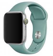 Силіконовий ремінець для Apple Watch 42(ser.1-3)/44/45/46/49mm Зелений / Cactus