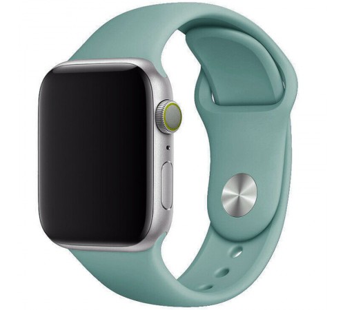 Силіконовий ремінець для Apple Watch 42(ser.1-3)/44/45/46/49mm Зелений / Cactus Силіконовий ремінець для Apple Watch 42(ser.1-3)/44/45/46/49mm Зелений / Cactus