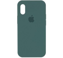 Чохол Silicone Case Full Protective (AA) для Apple iPhone X / XS (5.8") Зелений / Light cactus