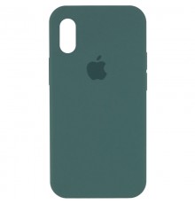 Чохол Silicone Case Full Protective (AA) для Apple iPhone X / XS (5.8") Зелений / Light cactus