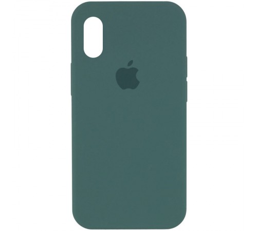 Чохол Silicone Case Full Protective (AA) для Apple iPhone X / XS (5.8") Зелений / Light cactus Чохол Silicone Case Full Protective (AA) для Apple iPhone X / XS (5.8") Зелений / Light cactus
