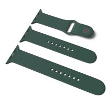 Силіконовий ремінець для Apple Watch Sport Band 38/40/41/42mm (S/M & M/L) 3pcs Зелений / Pine green