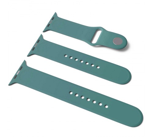Силіконовий ремінець для Apple Watch Sport Band 38/40/41/42mm(ser.10) (S/M & M/L) 3pcs Зелений / Cactus Силіконовий ремінець для Apple Watch Sport Band 38/40/41/42mm(ser.10) (S/M & M/L) 3pcs Зелений / Cactus