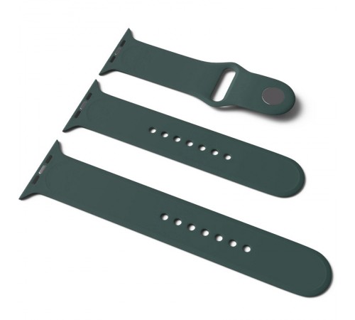Силіконовий ремінець для Apple Watch Sport Band 38/40/41/42mm(ser.10) (S/M & M/L) 3pcs Зелений / Dark Green Силіконовий ремінець для Apple Watch Sport Band 38/40/41/42mm(ser.10) (S/M & M/L) 3pcs Зелений / Dark Green