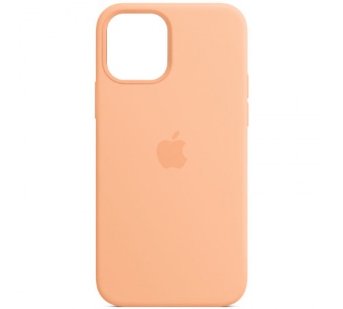 Чохол Silicone Case Full Protective (AA) для Apple iPhone 11 (6.1") Помаранчевий / Cantaloupe Чохол Silicone Case Full Protective (AA) для Apple iPhone 11 (6.1") Помаранчевий / Cantaloupe