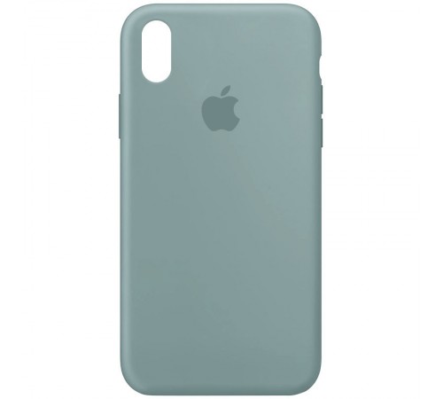 Чохол Silicone Case Full Protective (AA) для Apple iPhone XR (6.1") Зелений / Light cactus Чохол Silicone Case Full Protective (AA) для Apple iPhone XR (6.1") Зелений / Light cactus