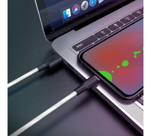 Дата кабель Hoco X21 Plus Silicone Type-C Cable (2m) Чорний / Білий Дата кабель Hoco X21 Plus Silicone Type-C Cable (2m) Чорний / Білий