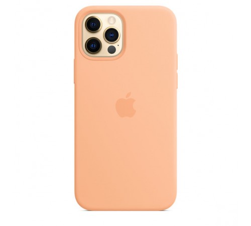 Чохол Silicone Case Full Protective (AA) для Apple iPhone 12 Pro / 12 (6.1") Помаранчевий / Cantaloupe Чохол Silicone Case Full Protective (AA) для Apple iPhone 12 Pro / 12 (6.1") Помаранчевий / Cantaloupe