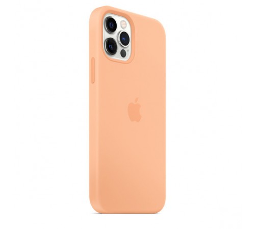 Чохол Silicone Case Full Protective (AA) для Apple iPhone 12 Pro / 12 (6.1") Помаранчевий / Cantaloupe Чохол Silicone Case Full Protective (AA) для Apple iPhone 12 Pro / 12 (6.1") Помаранчевий / Cantaloupe