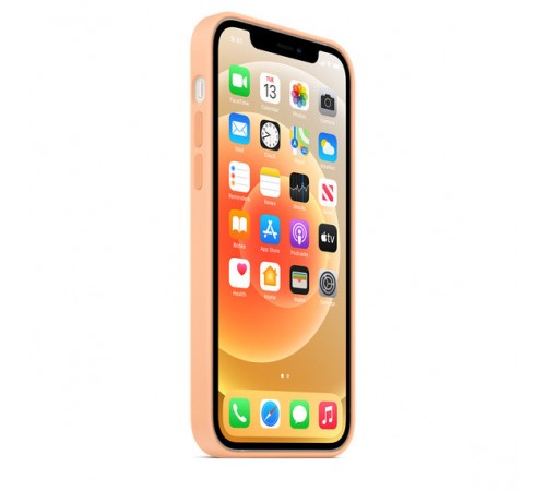 Чохол Silicone Case Full Protective (AA) для Apple iPhone 12 Pro / 12 (6.1") Помаранчевий / Cantaloupe Чохол Silicone Case Full Protective (AA) для Apple iPhone 12 Pro / 12 (6.1") Помаранчевий / Cantaloupe