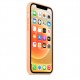 Чохол Silicone Case Full Protective (AA) для Apple iPhone 12 Pro / 12 (6.1") Помаранчевий / Cantaloupe