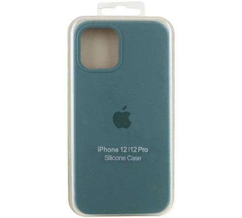 Чохол Silicone Case Full Protective (AA) для Apple iPhone 12 Pro / 12 (6.1") Зелений / Light cactus Чохол Silicone Case Full Protective (AA) для Apple iPhone 12 Pro / 12 (6.1") Зелений / Light cactus