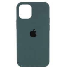 Чохол Silicone Case Full Protective (AA) для Apple iPhone 12 Pro / 12 (6.1") Зелений / Cactus