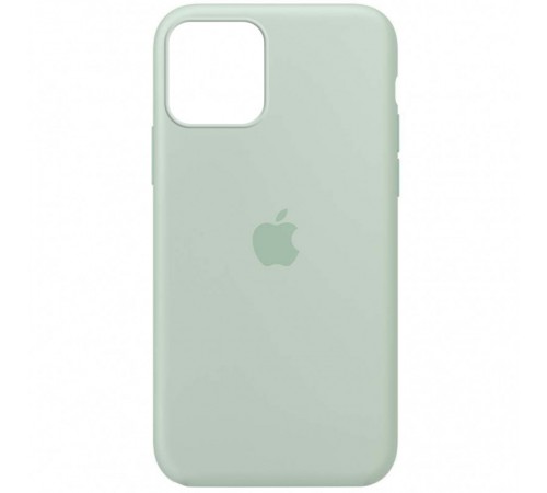 Чохол Silicone Case Full Protective (AA) для Apple iPhone 12 Pro Max (6.7") Зелений / Beryl