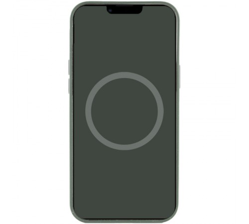 Чохол Silicone case (AAA) with Magsafe and Animation для Apple iPhone 12 Pro / 12 (6.1") Зелений / Cyprus Green