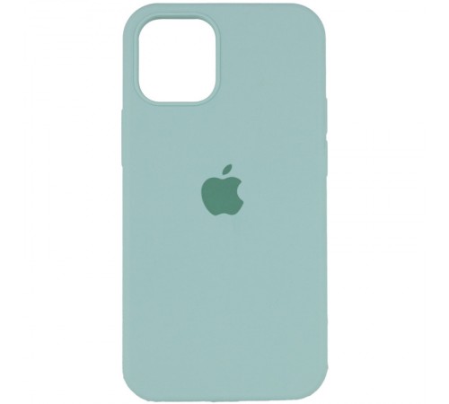 Чохол Silicone Case Full Protective (AA) для Apple iPhone 13 mini (5.4") Бірюзовий / Beryl Чохол Silicone Case Full Protective (AA) для Apple iPhone 13 mini (5.4") Бірюзовий / Beryl