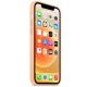 Чохол Silicone Case Full Protective (AA) для Apple iPhone 13 (6.1") Помаранчевий / Cantaloupe