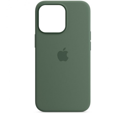 Чохол Silicone case (AAA) with Magsafe and Animation для Apple iPhone 13 Pro (6.1") Зелений / Eucalyptus Чохол Silicone case (AAA) with Magsafe and Animation для Apple iPhone 13 Pro (6.1") Зелений / Eucalyptus