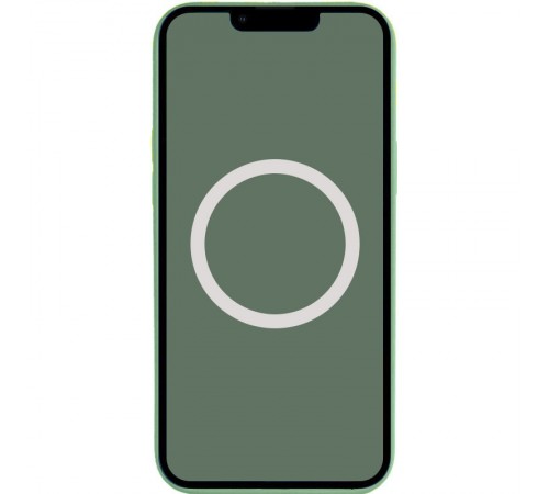 Чохол Silicone case (AAA) with Magsafe and Animation для Apple iPhone 13 Pro (6.1") Зелений / Eucalyptus Чохол Silicone case (AAA) with Magsafe and Animation для Apple iPhone 13 Pro (6.1") Зелений / Eucalyptus