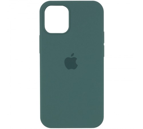 Чохол Silicone Case Full Protective (AA) для Apple iPhone 14 Pro (6.1") Зелений / Light cactus Чохол Silicone Case Full Protective (AA) для Apple iPhone 14 Pro (6.1") Зелений / Light cactus