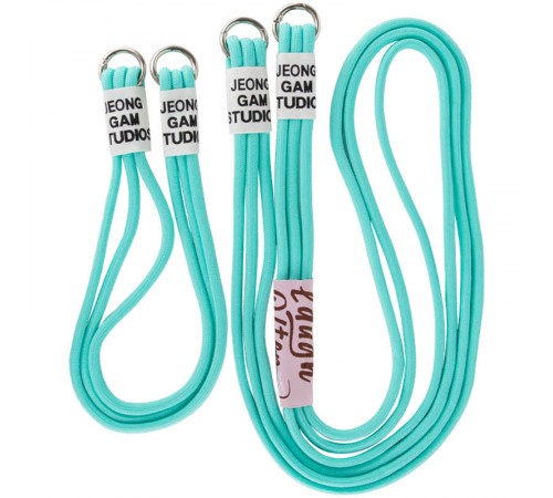 Чохол TPU two straps California для Apple iPhone 11 (6.1") Бірюзовий / Marine Green Чохол TPU two straps California для Apple iPhone 11 (6.1") Бірюзовий / Marine Green