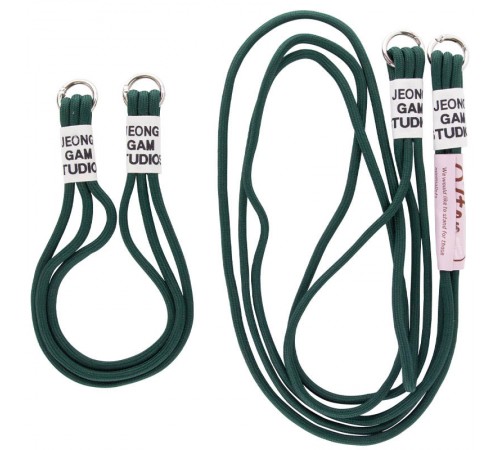 Чохол TPU two straps California для Apple iPhone 11 (6.1") Зелений / Forest green Чохол TPU two straps California для Apple iPhone 11 (6.1") Зелений / Forest green