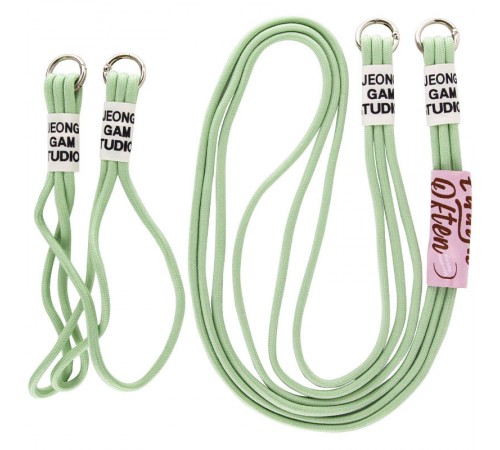 Чохол TPU two straps California для Apple iPhone 11 Pro Max (6.5") Зелений / Pistachio Чохол TPU two straps California для Apple iPhone 11 Pro Max (6.5") Зелений / Pistachio