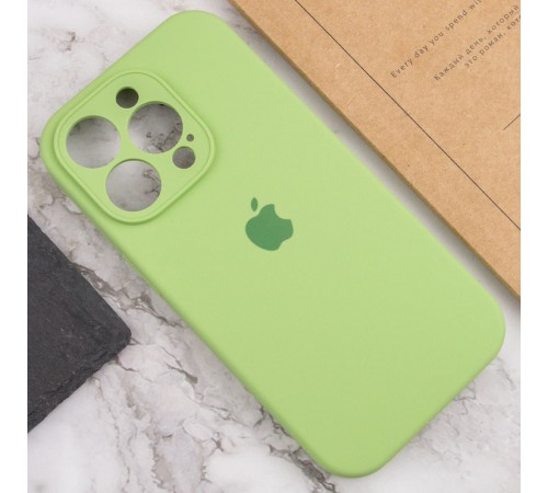 Чохол Silicone Case Full Camera Protective (AA) для Apple iPhone 14 Pro Max (6.7") М'ятний / Mint / PVH Чохол Silicone Case Full Camera Protective (AA) для Apple iPhone 14 Pro Max (6.7") М'ятний / Mint / PVH