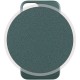 Шкіряний чохол Leather Case (AAA) with MagSafe and Animation для Apple iPhone 13 (6.1") Sequoia Green