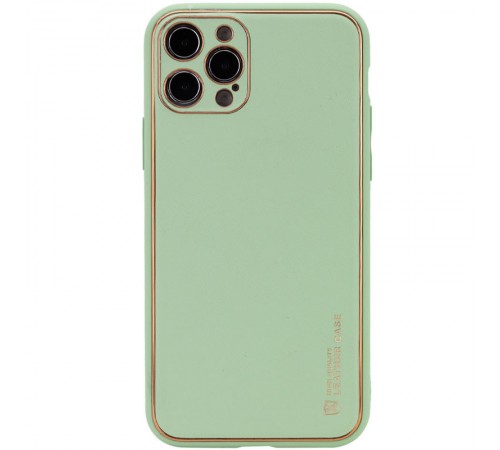 Шкіряний чохол Xshield для Apple iPhone 14 Pro (6.1") Зелений / Pistachio
