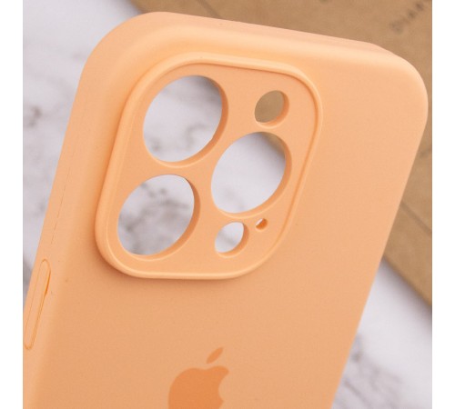 Чохол Silicone Case Full Camera Protective (AA) для Apple iPhone 15 Pro (6.1") Помаранчевий / Cantaloupe / PVH Чохол Silicone Case Full Camera Protective (AA) для Apple iPhone 15 Pro (6.1") Помаранчевий / Cantaloupe / PVH