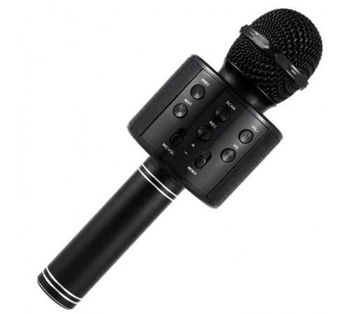 Караоке Мікрофон-колонка WS858 Black