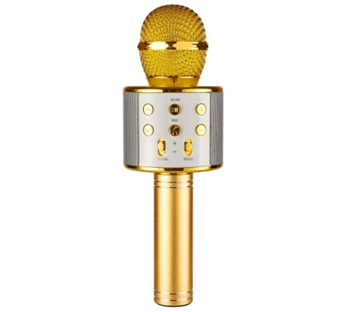 Караоке Мікрофон-колонка WS858 Gold