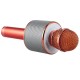 Караоке Мікрофон-колонка WS858 Rose Gold