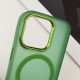 Чохол TPU+PC Lily with MagSafe для Apple iPhone 12 Pro Max (6.7") Army Green