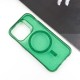 Чохол TPU Radiance with MagSafe для Apple iPhone 13 Pro Max (6.7") Green