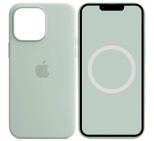 Чохол Silicone case (AAA) full with Magsafe and Animation для Apple iPhone 14 Pro (6.1") Бірюзовий / Succulent