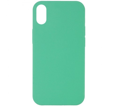 Чохол Silicone Case Full Protective (AA) NO LOGO для Apple iPhone XR (6.1") Зелений / Spearmint Чохол Silicone Case Full Protective (AA) NO LOGO для Apple iPhone XR (6.1") Зелений / Spearmint