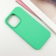 Чохол Silicone Case Full Protective (AA) NO LOGO для Apple iPhone 14 Pro (6.1") Зелений / Spearmint