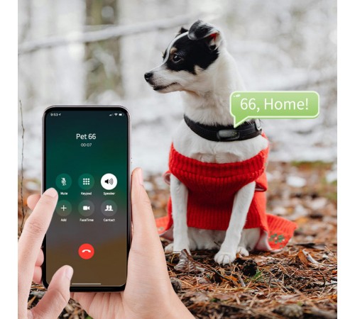 Трекер GPS для тварин V53 Pet Tracker SIM (4GLTE) 900mAh Black Трекер GPS для тварин V53 Pet Tracker SIM (4GLTE) 900mAh Black