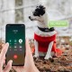 Трекер GPS для тварин V53 Pet Tracker SIM (4GLTE) 900mAh Black